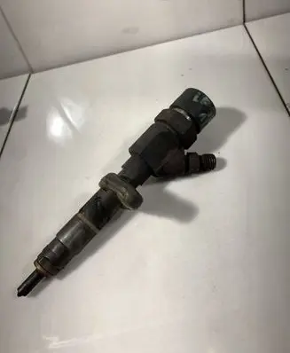 Renault Laguna II Fuel injector 0445110110B