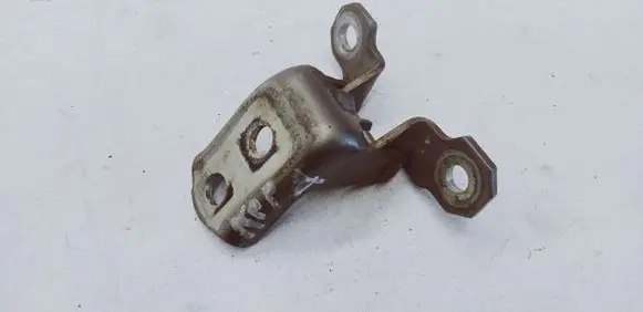 Renault Espace - Grand espace IV Front door lower hinge 
