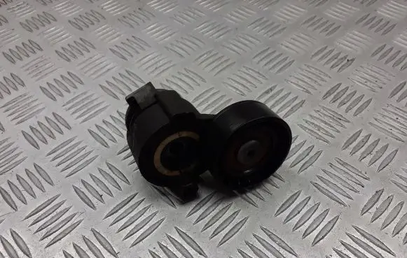 Renault Kangoo I Alternator belt tensioner pulley 8200808550