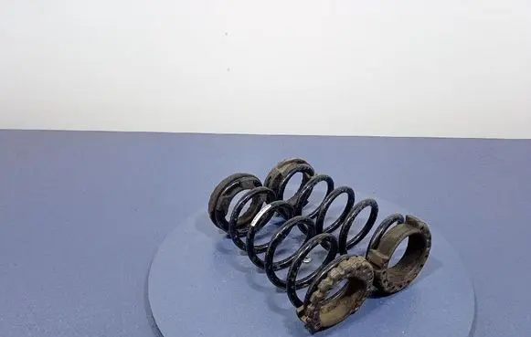 Rear coil spring