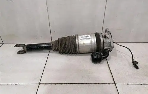 Bentley Mulsanne Rear shock absorber with coil spring 3W8616002