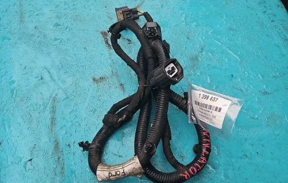 Other wiring loom