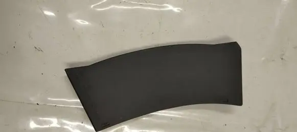 Rear/tail light trim molding