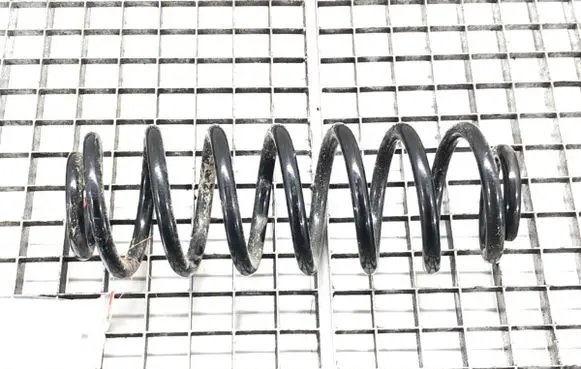Rear coil spring