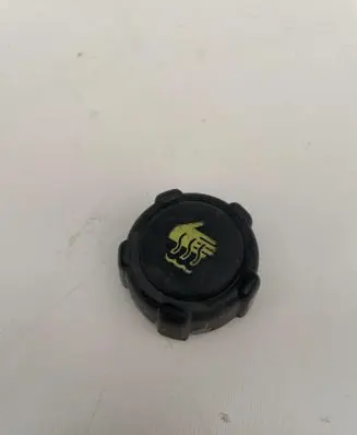 Renault Scenic IV - Grand scenic IV Coolant expansion tank/reservoir cap 