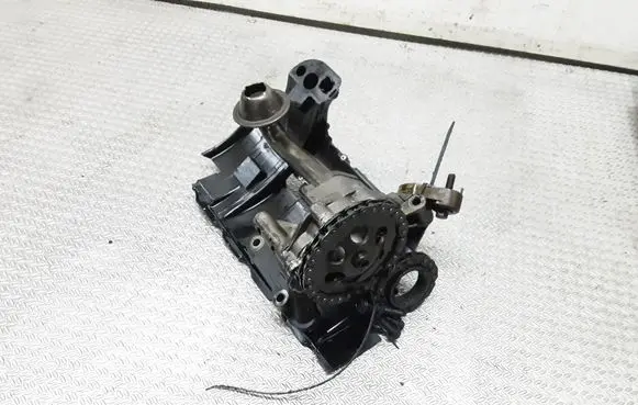 Seat Alhambra (Mk1) Oil pump 06A115121
