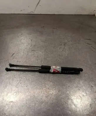 Renault Kadjar Tailgate/trunk strut/damper 904516026