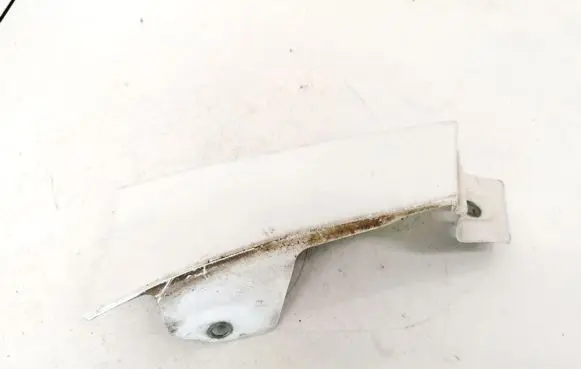 Rear/tail light trim molding