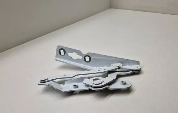 Ford Ecosport Engine bonnet/hood hinges AM5116800AH