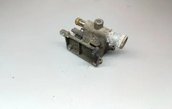 Thermostat/thermostat housing