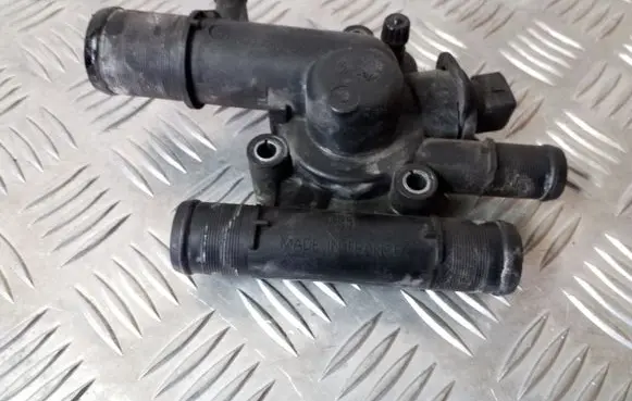 Thermostat/thermostat housing