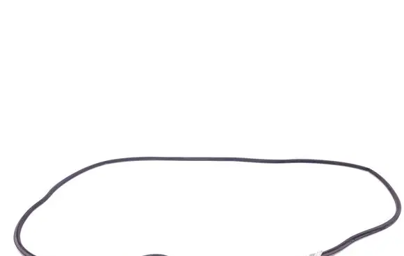 Mercedes-Benz R W251 Rubber seal rear door A2517370087