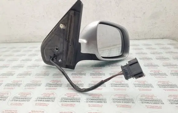 Volkswagen Golf IV Front door electric wing mirror E1020514