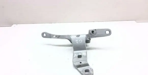 Tailgate/trunk/boot hinge