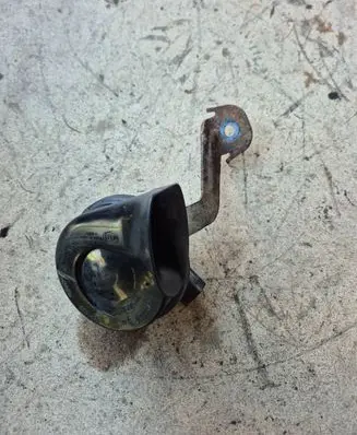 Volkswagen PASSAT B6 Horn signal E100209