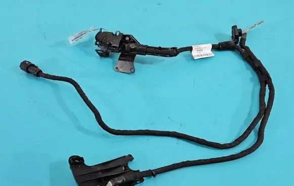 Other wiring loom