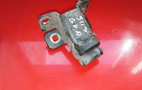 Dacia Dokker Rear door lower hinge NOCODE
