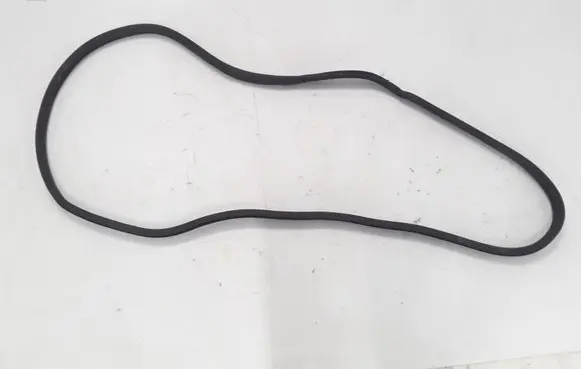 Renault Zoe Front door rubber seal 808326900R