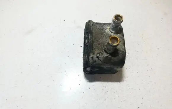 Volkswagen Golf IV Engine oil radiator 02811702