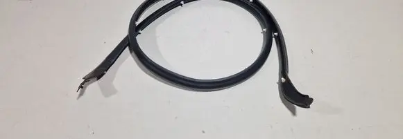 Ford B-MAX Rubber seal front door window/glass AV11R25315A