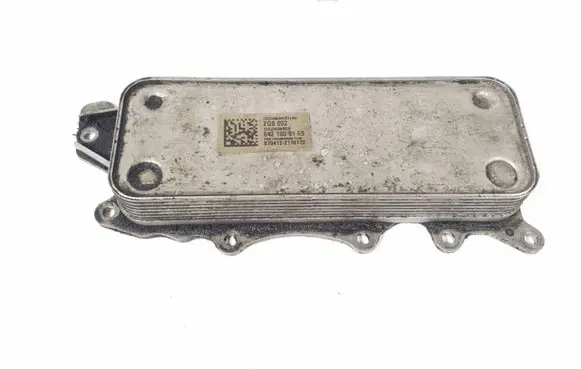 Mercedes-Benz R W251 Oil filter mounting bracket A6421800165
