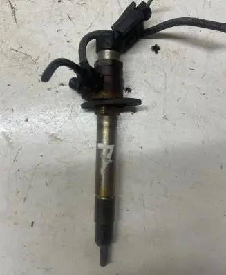 Land Rover Range Rover Sport L320 Fuel injector 030010