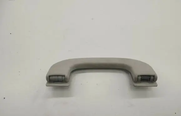 Mercedes-Benz B W245 Front interior roof grab handle A1698100151