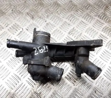 Thermostat/thermostat housing
