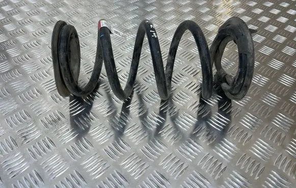 Tesla Model 3 Rear coil spring 104447201E