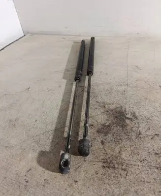 Tailgate strut