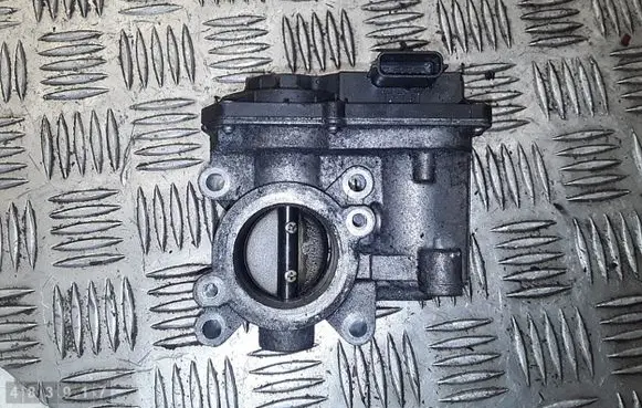 Renault Laguna III Throttle valve 8200619046