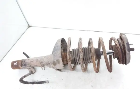 Citroen C3 Front shock absorber with coil spring