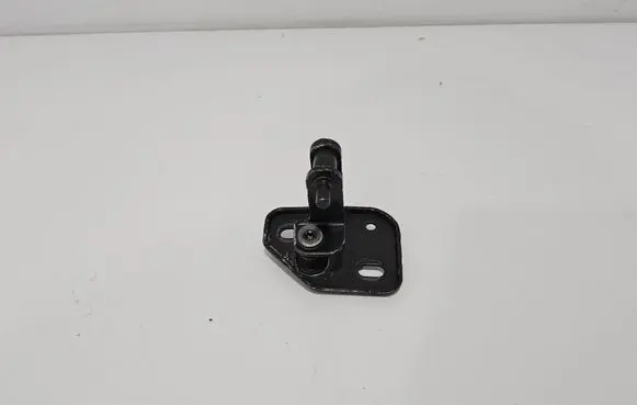 Audi S5 F5 Other body part 8W7825436