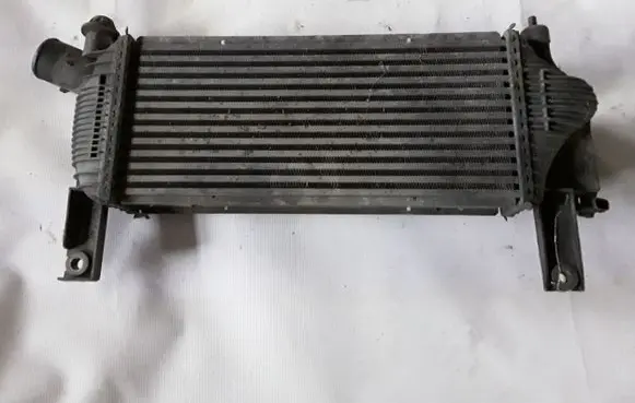 Nissan Navara Intercooler radiator 14461EB360