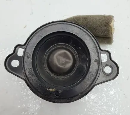 Volkswagen PASSAT B5 Front door high frequency speaker 8923016002A 86301SG130