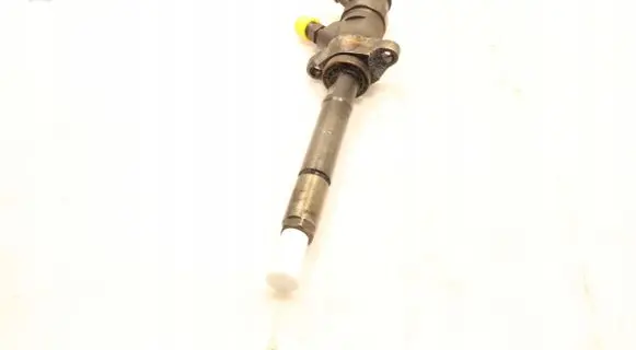 Citroen C5 Fuel injector 0445110297