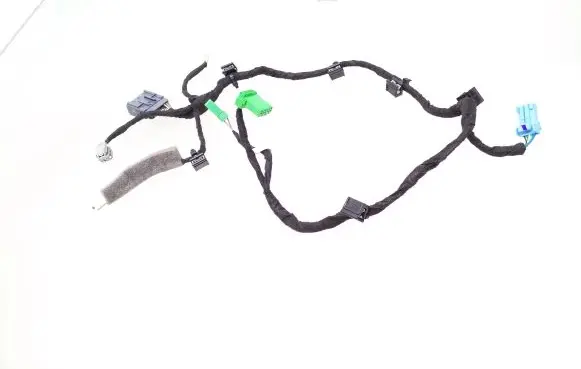 Front door wiring loom