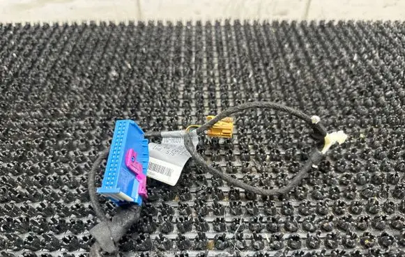 Front door wiring loom
