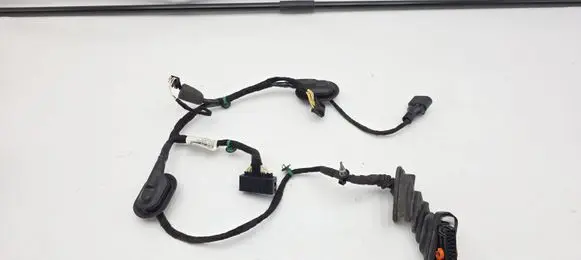 Volkswagen Touran II Front door wiring loom 38691460LL