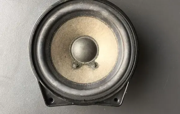 Panel speaker