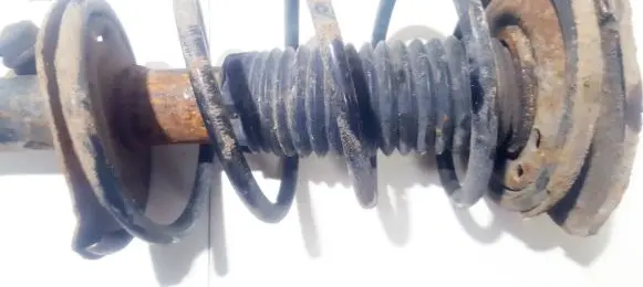 Peugeot 206 Front coil spring