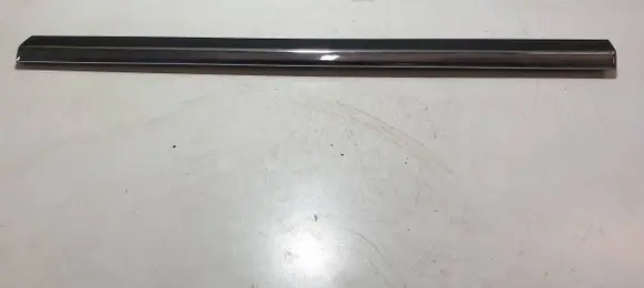 Front door trim (molding)