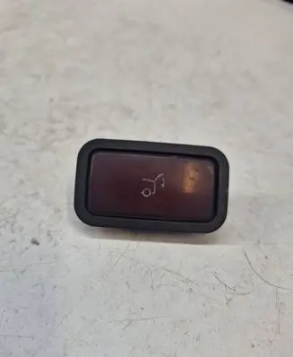 Mercedes-Benz E W211 Tailgate/boot open switch button 2118219551 31020302