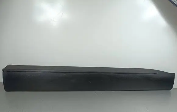 Front door trim (molding)