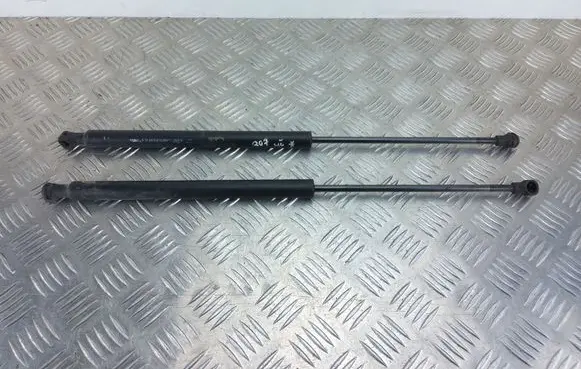 Peugeot 207 Tailgate/trunk strut/damper 9650780480