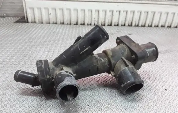 Thermostat/thermostat housing