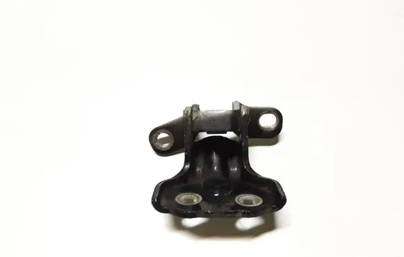 KIA Sorento Rear door lower hinge RRL