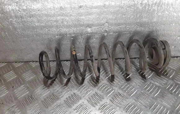 Skoda Fabia Mk1 (6Y) Rear coil spring