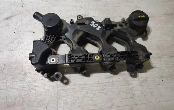 Peugeot 308 Intake manifold P1001845