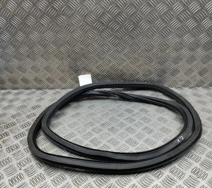 Cupra Formentor Rubber seal rear door 5FF867367